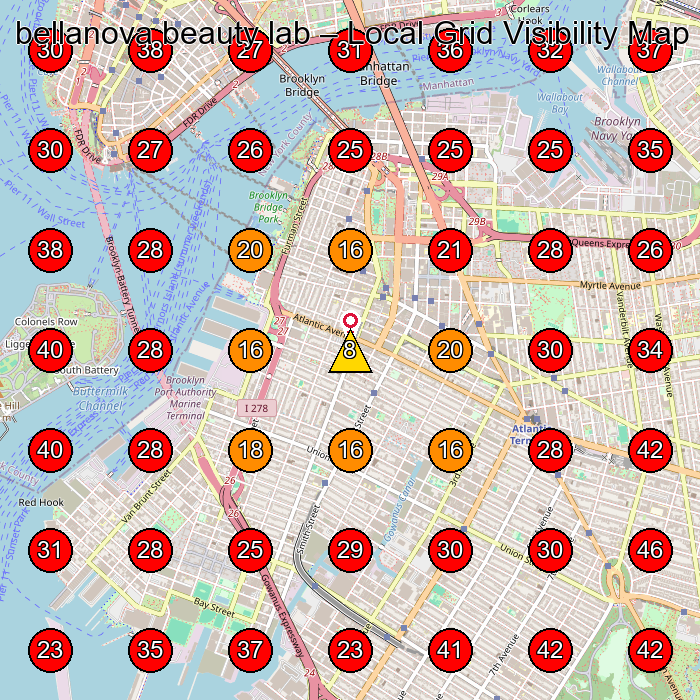 bellanova beauty lab GeoGrid visibility map for Facial Spa in Brooklyn